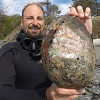 When size matters – the world's largest recreational abalone fishery | The  New Zealand Initiative