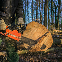 Chain saw wood