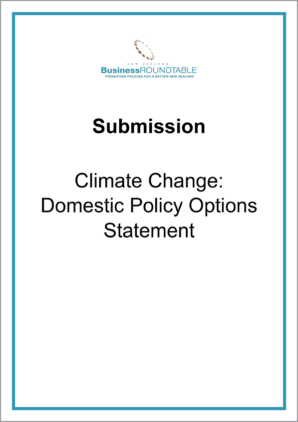 Submission Climate Change Domestic Policy Options Statement