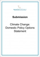 Submission Climate Change Domestic Policy Options Statement