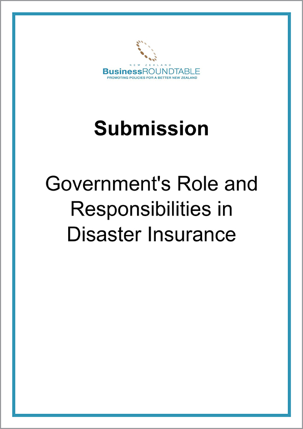 Submission Governments Role and Responsibilities in Disaster Insurance