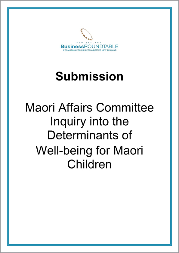 Submission Maori Affairs Committee inquiry cover